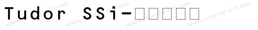 Tudor SSi字体转换